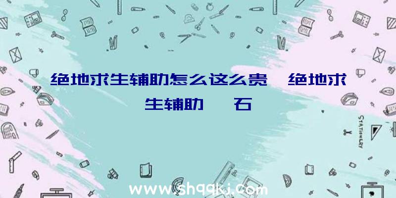 绝地求生辅助怎么这么贵、绝地求生辅助